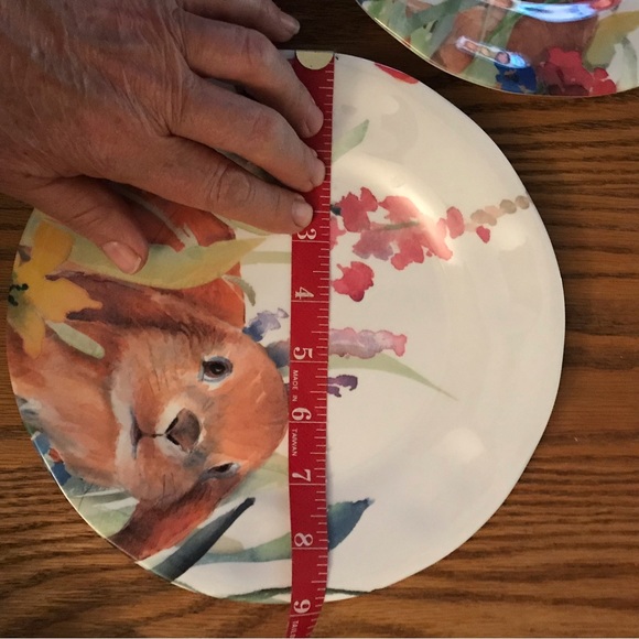 Two Bunny Rabbit Melamine 9” Plates - Picture 6 of 6